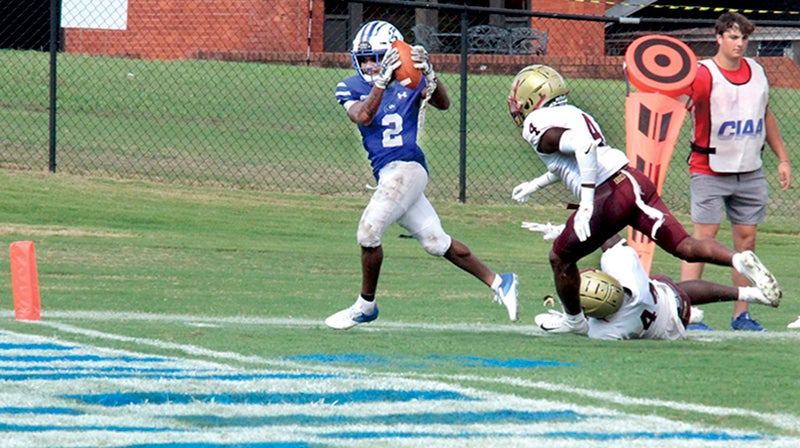 Adam Dunn - Football - Chowan University Athletics