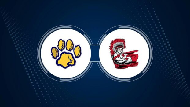 Western Branch vs. Nansemond River High School boy's volleyball live stream, TV – Thursday, August 29