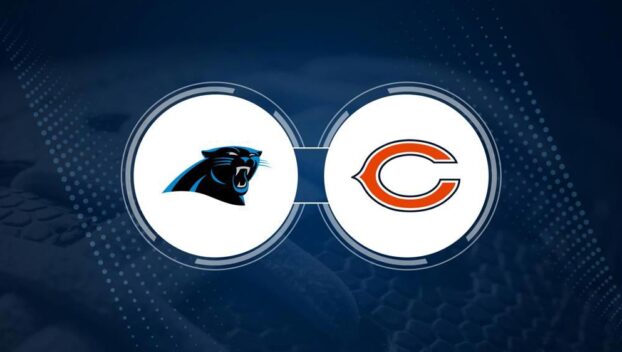 Best Bets, Odds for the Panthers vs. Bears Game – Week 5